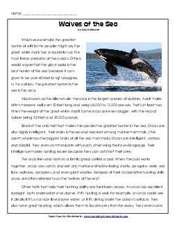 Orcas: Wolves of the Sea (Non-Fiction) 5th Grade Reading Comprehension Worksheet