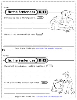 Fix the Sentences D-41 through D-45 Worksheet