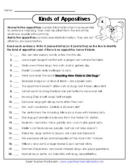 New Identifying Kinds of Appositives Worksheet