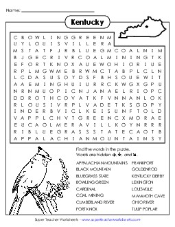 Word Search Puzzle States Individual Worksheet