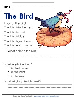 The Bird Free Reading Comprehension Reading Comp Kindergarten Worksheet