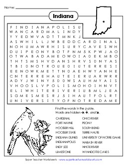 Word Search Puzzle States Individual Worksheet