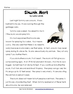 Skunk Alert 2nd Grade Reading Comprehension Worksheet