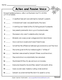 Identify Active and Passive Voice Worksheet 3 Worksheet