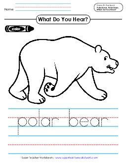 Color, Trace, & Write: Animal Words Picture Book Polar Bear Worksheet