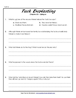 Questions for Chapter 25 Book Tuck Everlasting Worksheet