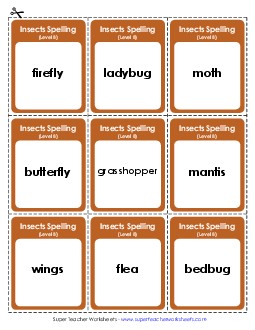 Flashcards (B-Insect Words) Spelling B Worksheet