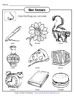 Sense of Smell Free Five Senses Worksheet