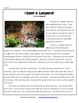 I Spot a Leopard!  6th Grade Reading Comprehension Worksheet