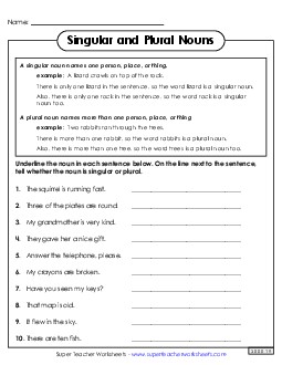 Singular & Plural Nouns 3rd Grade 3rd Grade ELA Worksheet