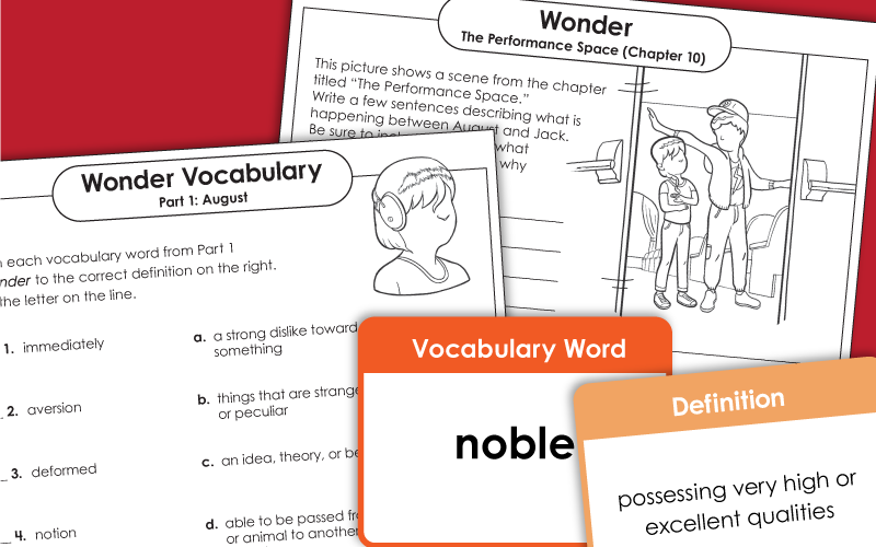 Wonder Chapter Book Worksheets