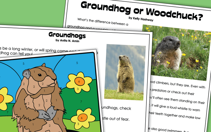 Groundhog Day Worksheets