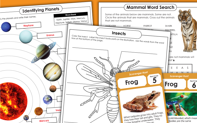 second grade science worksheets 2nd Worksheets