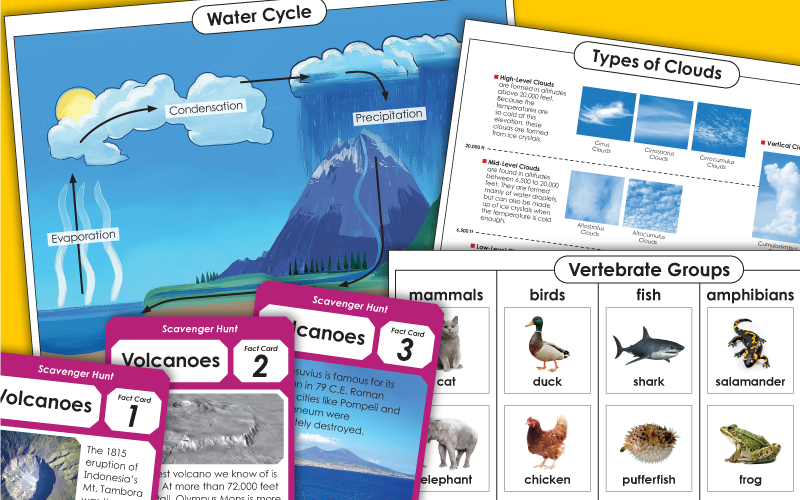 third grade science worksheets 3rd Worksheets