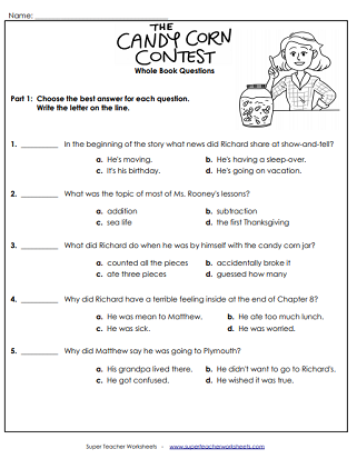 Chapter Book Unit Worksheets