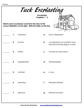 Chapter Book Unit Worksheets (Tuck Everlasting)