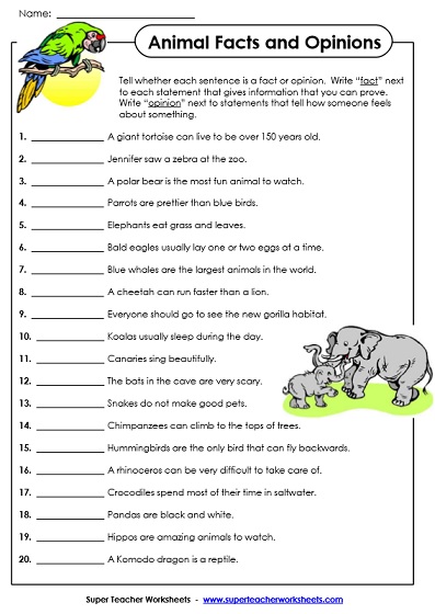 Fact and Opinion Worksheet