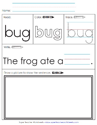 Bug Sight Word