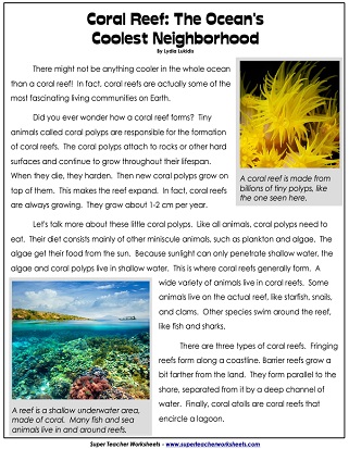 Ocean Life Worksheets