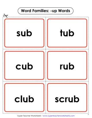 Word Family -ub Practice With Flash Cards